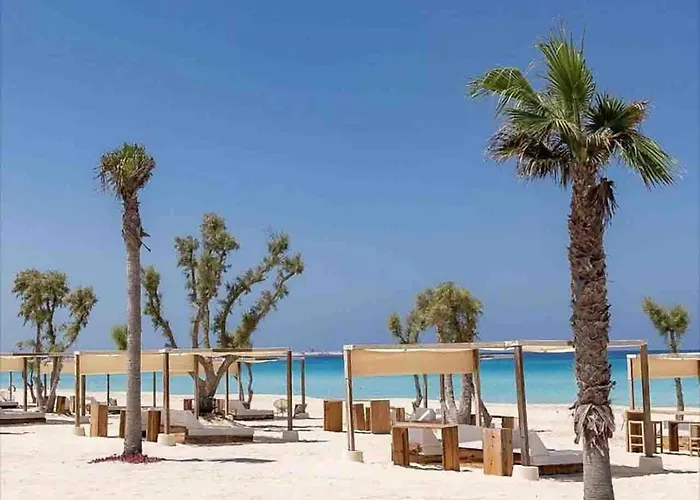 Rahaf Palm *